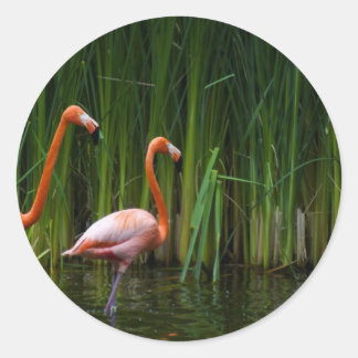 ROSENFLAMINGO RUNDER AUFKLEBER