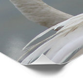 Rosenflammen Poster (Ecke)