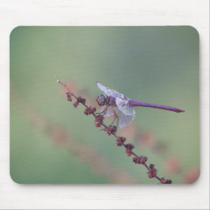 Rosenfliege Mousepad