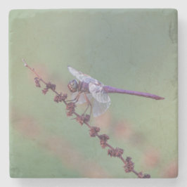 Rosenfliege Steinuntersetzer