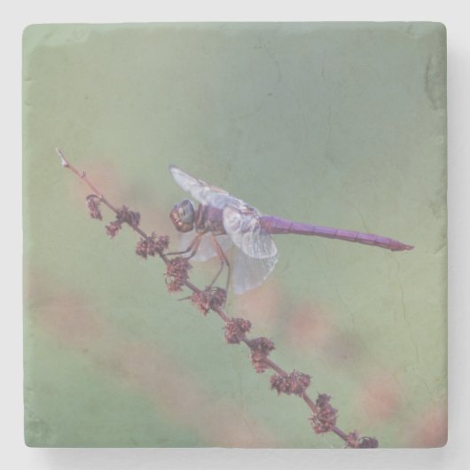 Rosenfliege Steinuntersetzer (Vorderseite)