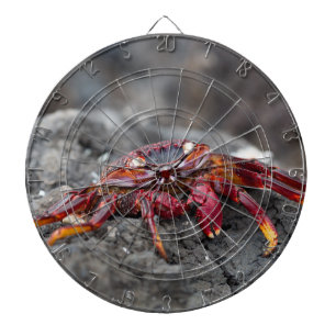 Rosengarbe Dartscheibe