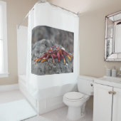 Rosengarbe Duschvorhang (Beispiel)