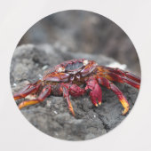 Rosengarbe Etiketten (Design 1)