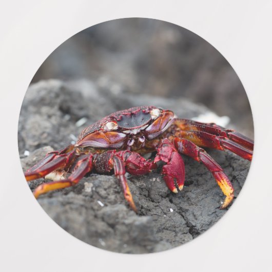 Rosengarbe Etiketten (Design 1)