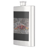 Rosengarbe Flachmann (Links)