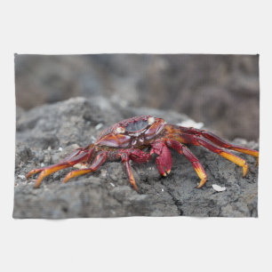 Rosengarbe Geschirrtuch