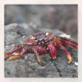 Rosengarbe Glasuntersetzer (Vorderseite)