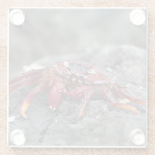 Rosengarbe Glasuntersetzer (Rückseite)