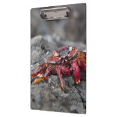 Rosengarbe Klemmbrett (Links)