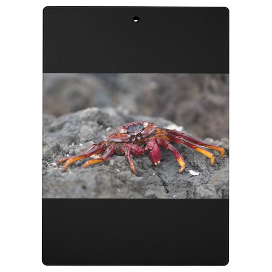 Rosengarbe Klemmbrett (Rückseite)