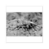 Rosengarbe Permastempel (Design)