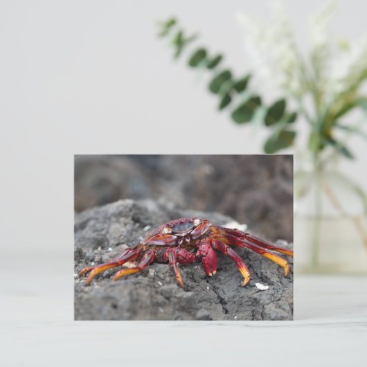 Rosengarbe Postkarte (Stehend Vorderseite)