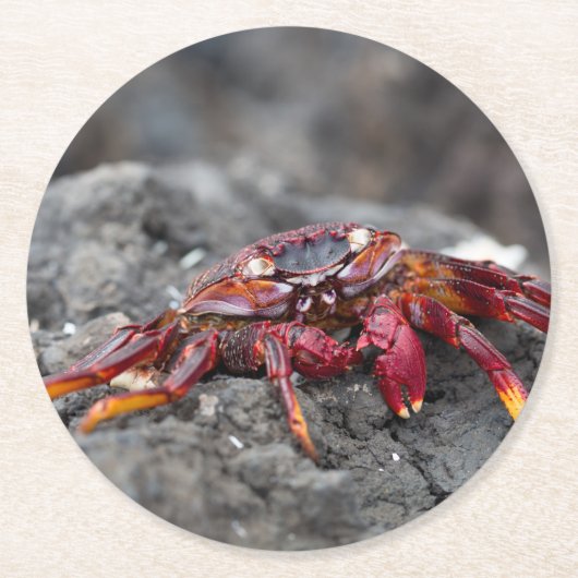 Rosengarbe Runder Pappuntersetzer (Vorderseite)