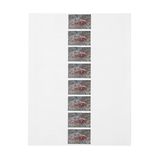 Rosengarbe Rundum-Adressaufkleber (Bogen)