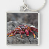 Rosengarbe Schlüsselanhänger (Vorne)