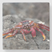 Rosengarbe Steinuntersetzer (Vorderseite)