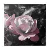 Rosengarten Fliese (Vorderseite)