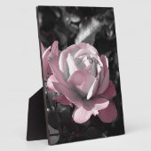 Rosengarten Fotoplatte (Seite)