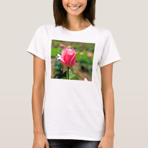 Rosengarten mit rosa Rosen T-Shirt