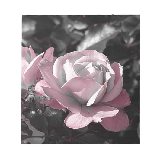 Rosengarten Notizblock (Vorderseite)