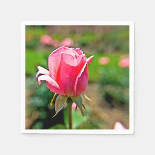 Rosengarten Serviette (Vorderseite)
