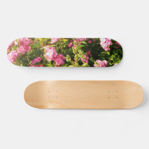 Rosengarten Skateboard