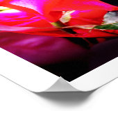 Rosengeister Poster (Ecke)