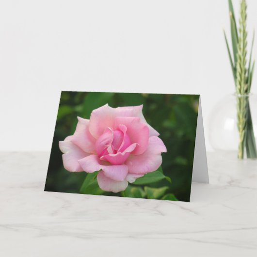 Rosengrüßkarte Karte (Vorderseite)