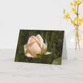 Rosengrußkartenfreier raum karte (Gelbe Blume)