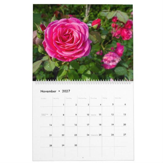 Rosenkalender Kalender (Nov 2027)
