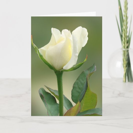 Rosenkarte Karte (Vorderseite)