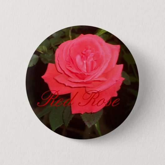 Rosenknopf Button (Vorderseite)