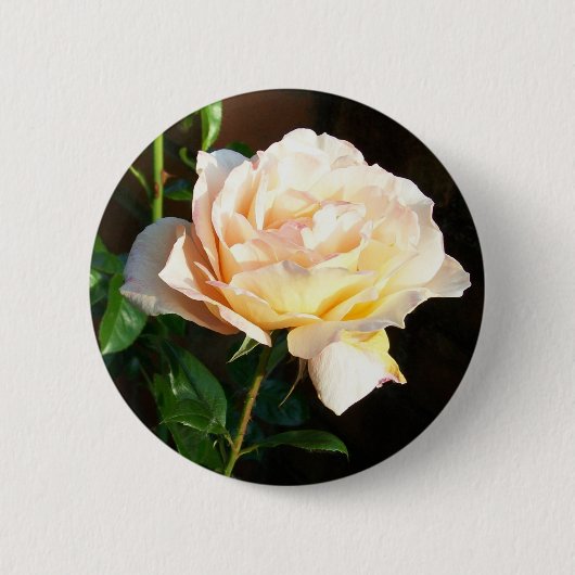 Rosenknopf oder Abzeichen Button (Vorderseite)