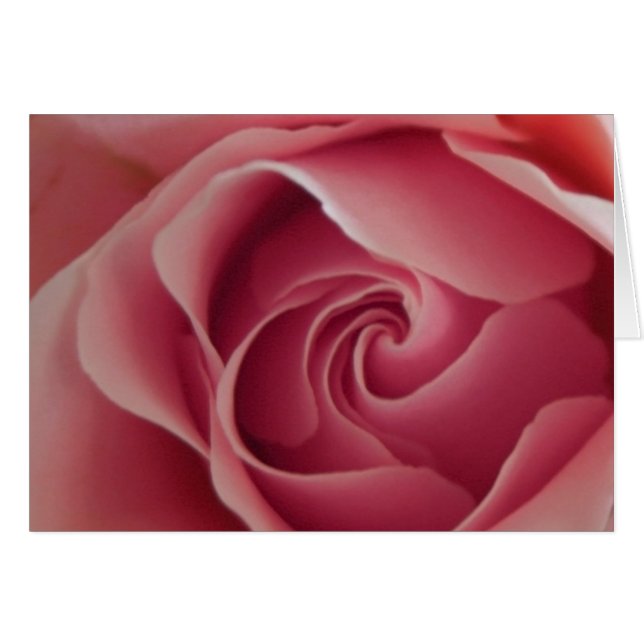 Rosenknospe (Vorderseite (Horizontal))