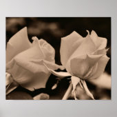 Rosenknospe Blume Pair in Sepia Brown Poster (Vorne)