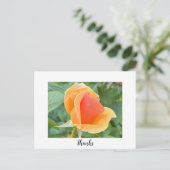 Rosenknospe Danke, Postkarte (Stehend Vorderseite)
