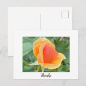 Rosenknospe Danke, Postkarte (Vorne/Hinten)