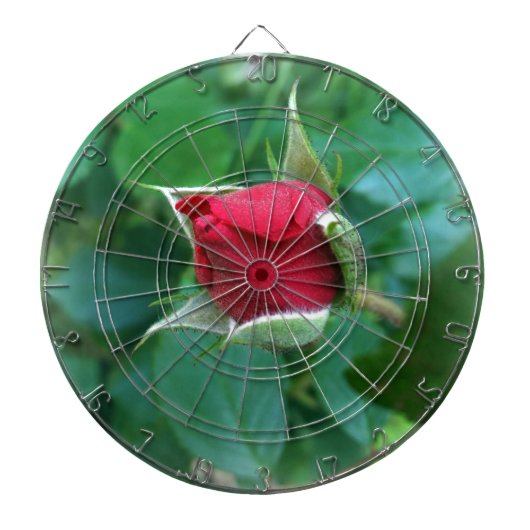 Rosenknospe Dartscheibe (vorne)
