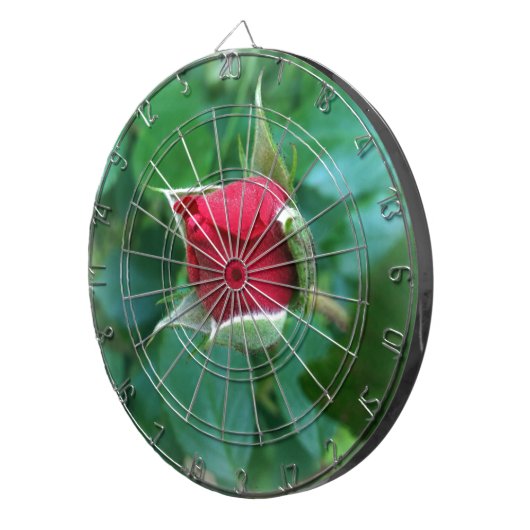 Rosenknospe Dartscheibe (Vorderseite rechts)