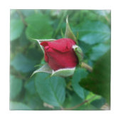 Rosenknospe Fliese (Vorderseite)