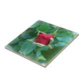 Rosenknospe Fliese (Seite)