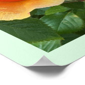 Rosenknospe Foto Poster (Ecke)