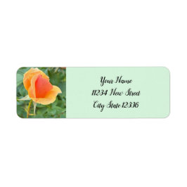 Rosenknospe Foto Rücksendeadressen-Aufkleber