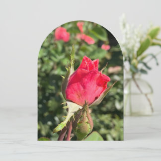 Rosenknospe Gartenbogen, Flachkarte Einladung