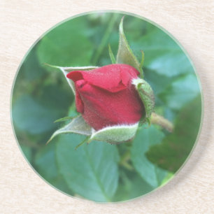 Rosenknospe Getränkeuntersetzer