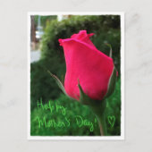 Rosenknospe Happy Mother's Day Postcard Postkarte (Vorderseite)