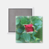 Rosenknospe Magnet (Vorderseite/Rückseite)