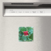 Rosenknospe Magnet (In Situ (Geschirrspüler))