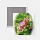 Rosenknospe Magnet (Vorderseite/Rückseite)
